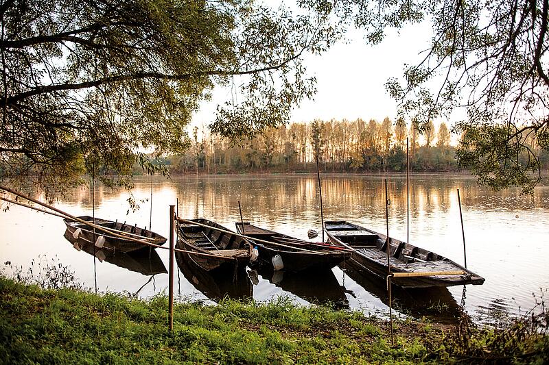 [Translate to Allemand:] 