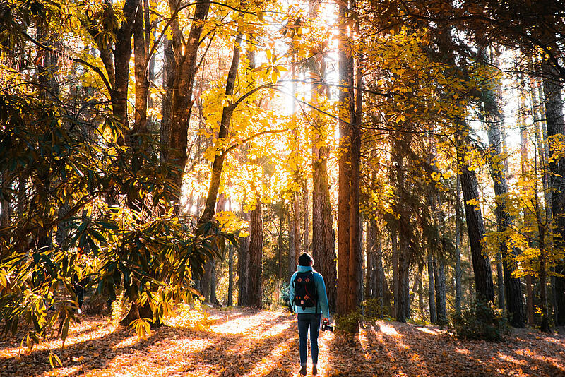 [Translate to Allemand:] 