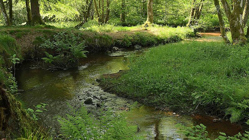 [Translate to Allemand:] 