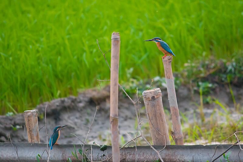 [Translate to Allemand:] 