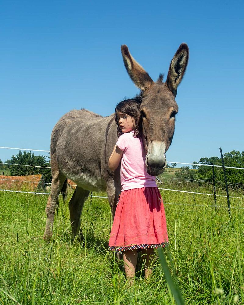 [Translate to Allemand:] Young girl in a pink shirt hugging a large donkey in a grassy field at a Les Castels campsite.