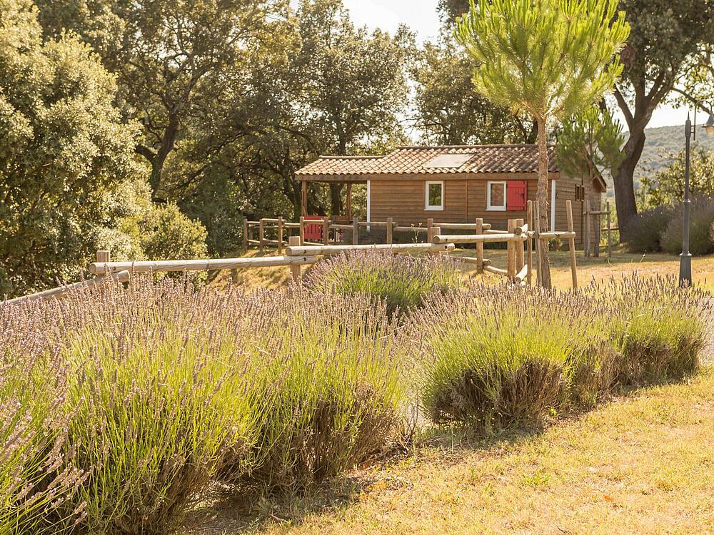 Campingplatz Castel Domaine de Sévenier & Spa LAGORCE Auvergne-Rhone-Alpen 1