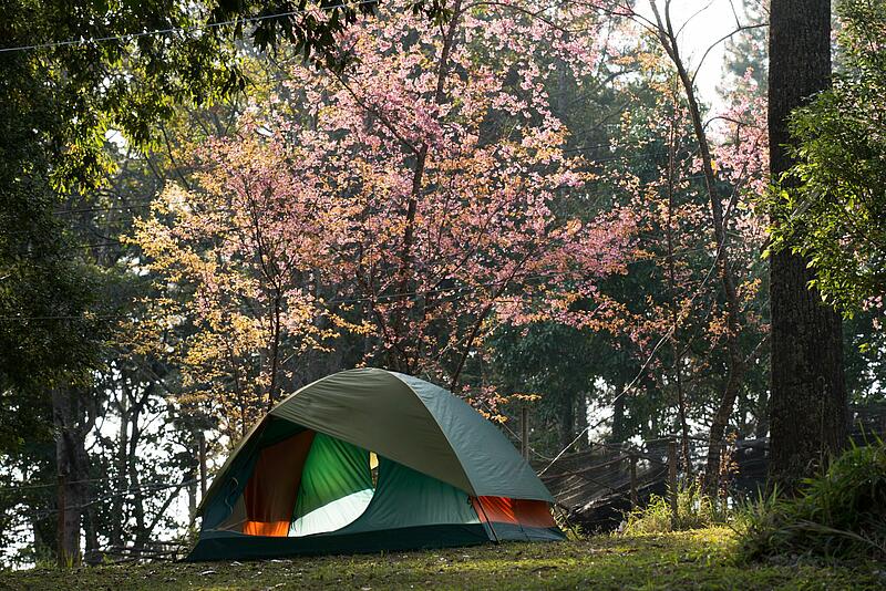 [Translate to Allemand:] 