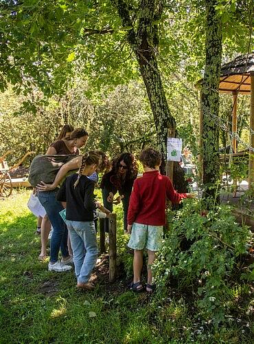 [Translate to Allemand:] 