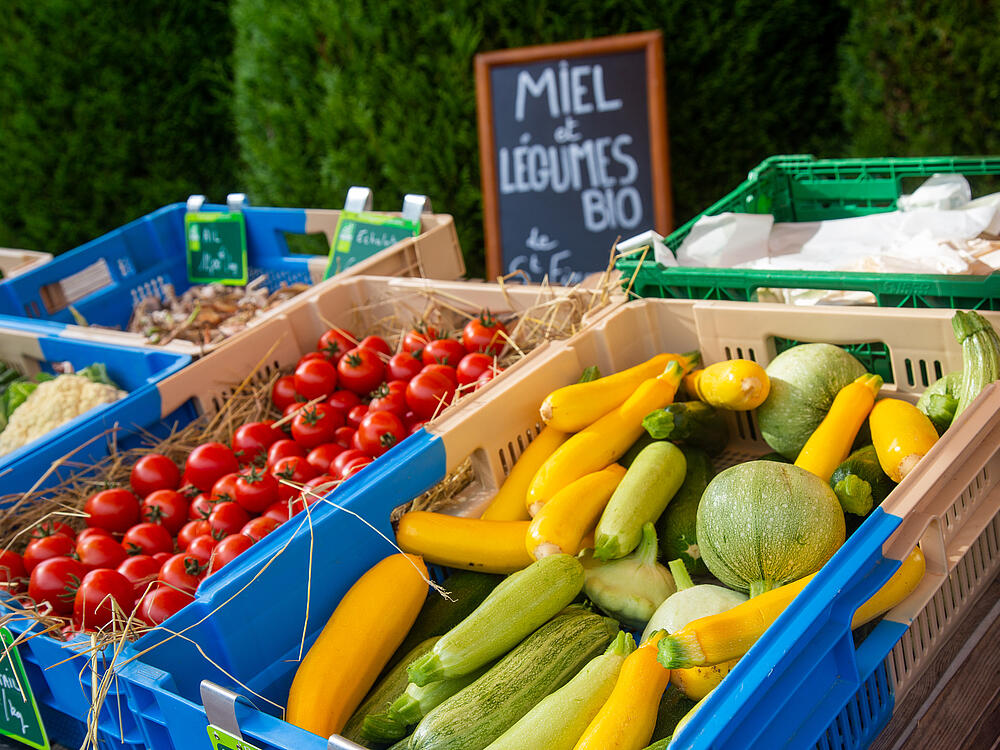 Campingplatz Castel Camping Les Bois du Bardelet GIEN Zentrum-Loiretal 17