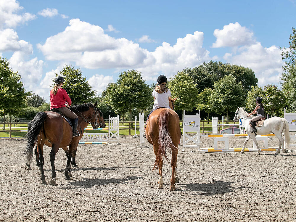 Campingplatz Castel Camping Les Ormes, Domaine & Resort DOL DE BRETAGNE Bretagne 13