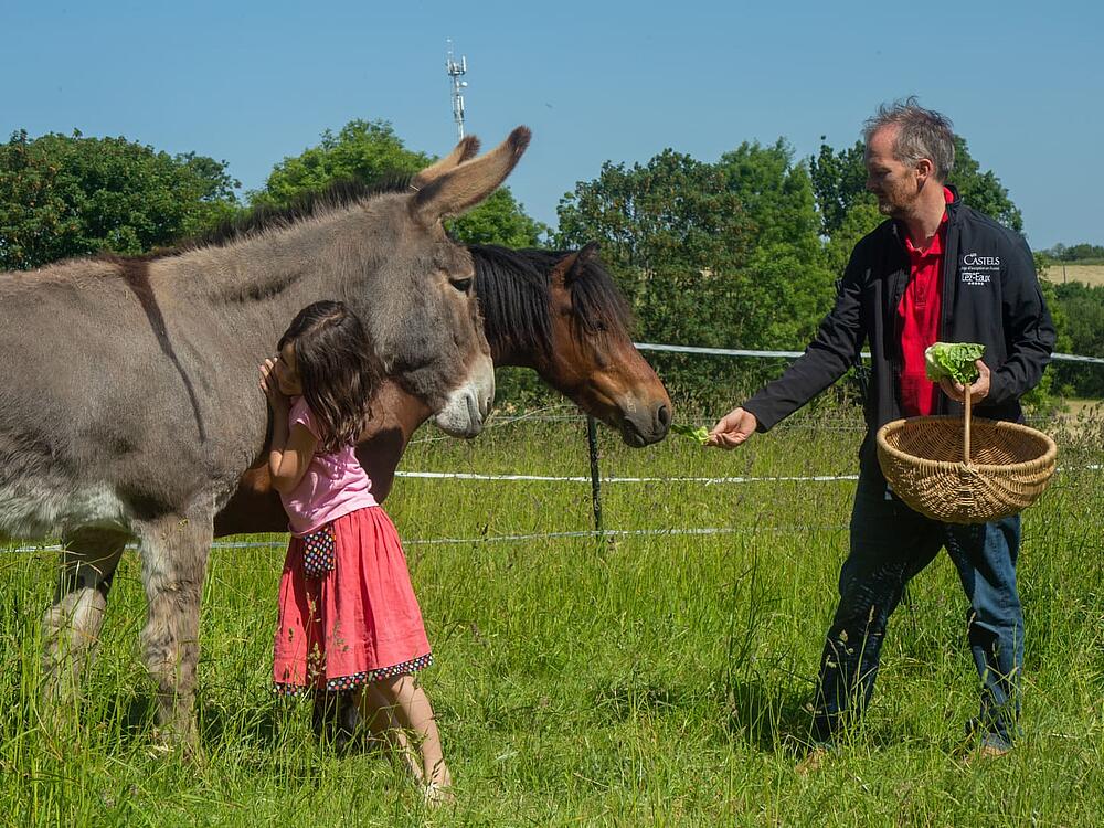 Campingplatz Castel Camping Château de Lez-Eaux Saint Pair sur mer Normandie 11