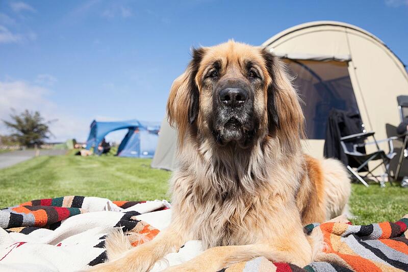 [Translate to Allemand:] 