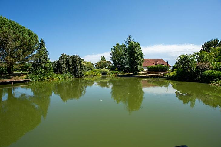 Teich des Campingplatzes Les Bois du Bardelet im Loiretal