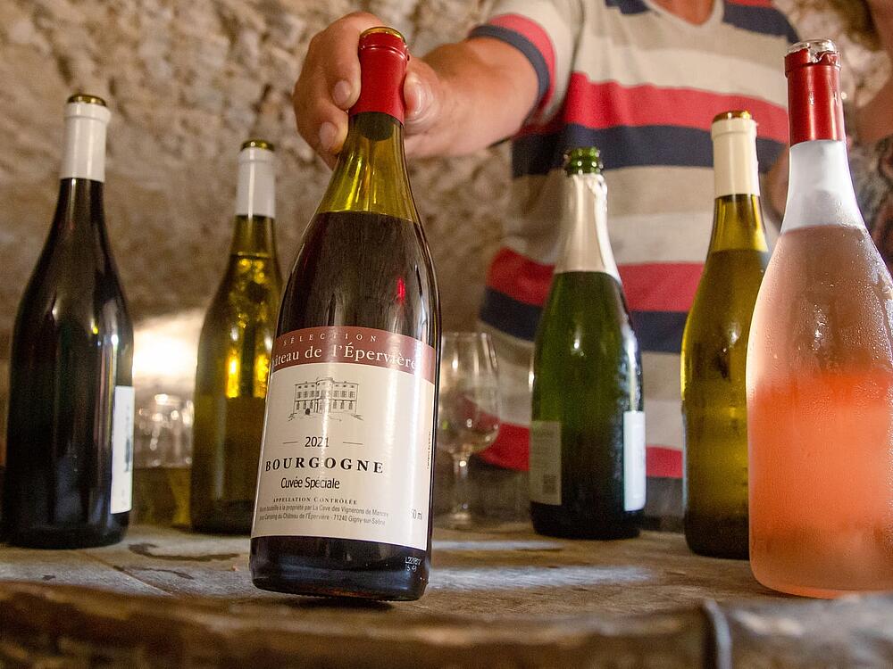 Campingplatz Castel Camping Château de L'Epervière Gigny-sur-Saône Burgund und Freigrafschaft 9