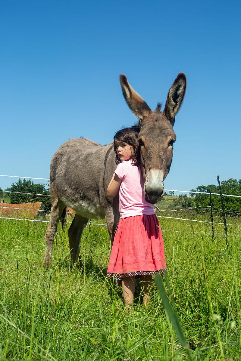 une petite fille avec un âne au château de lez-eaux, camping de luxe en normandie