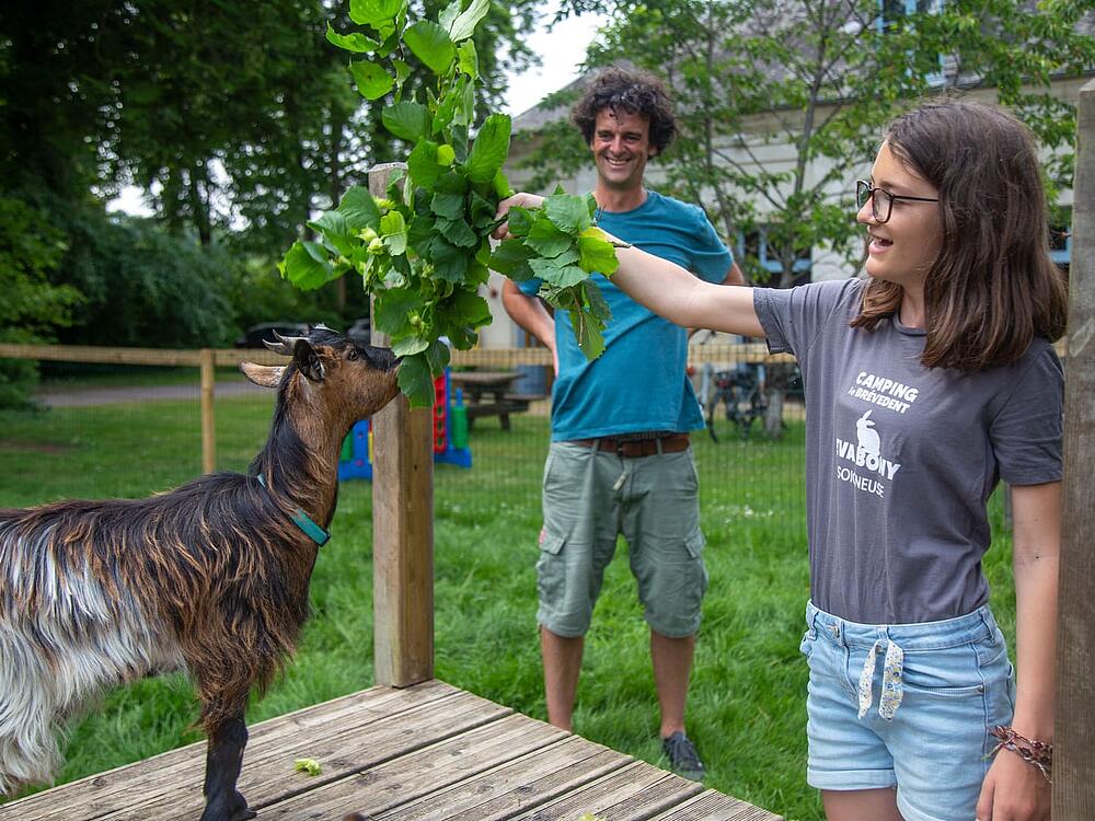 Campingplatz Castel Camping Le Brévedent Le Brévedent Normandie 5