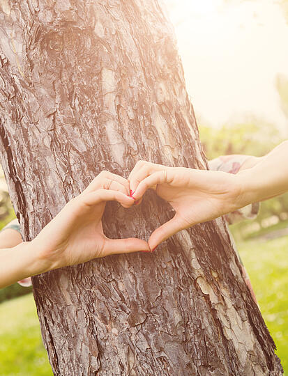 Komfort, Natur und Camping – das geht!