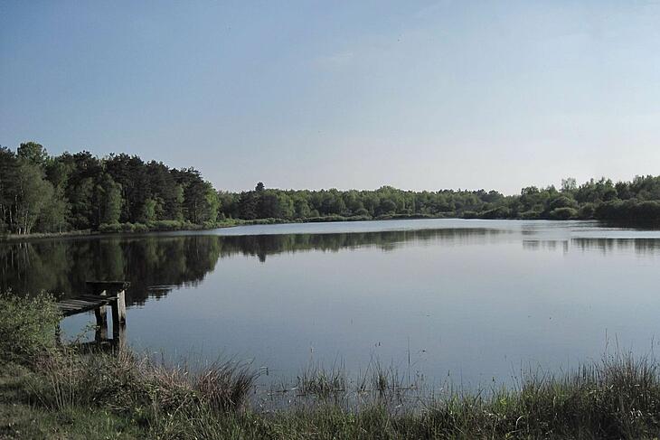 Teich im Herzen der Sologne, umgeben von Wald und Natur