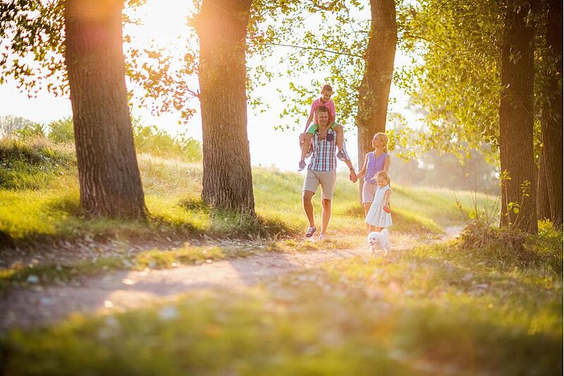 [Translate to Allemand:] 