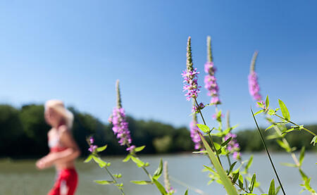 [Translate to Allemand:] 