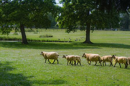 [Translate to Allemand:] 