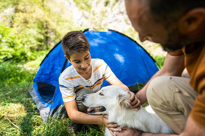 [Translate to Allemand:] 