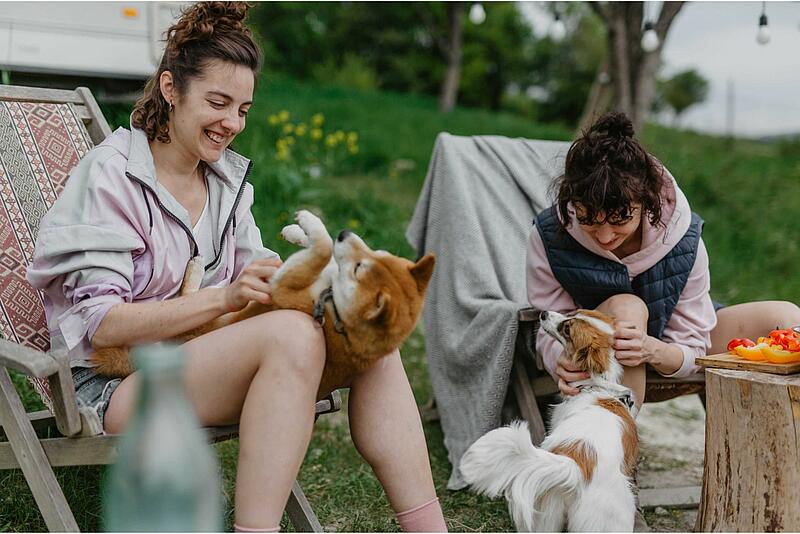 [Translate to Allemand:] 