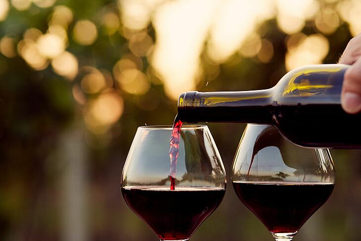dégustation de vin de Sarthe visite et dégustation de vin lors de vacances en camping dans la Sarthe