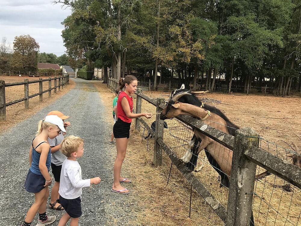 Campingplatz Castel Camping Château de Chanteloup SILLE-LE-PHILIPPE Pays de la Loire 11