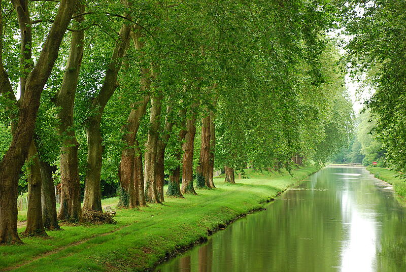 [Translate to Allemand:] 