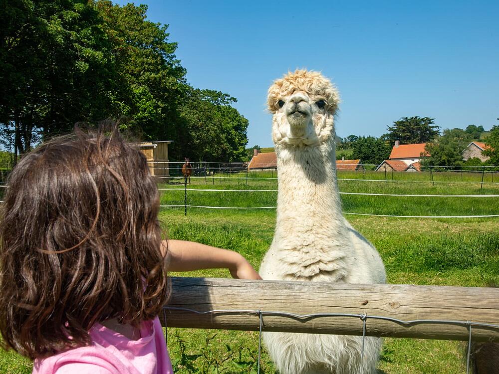 Campingplatz Castel Camping Château de Lez-Eaux Saint Pair sur mer Normandie 10