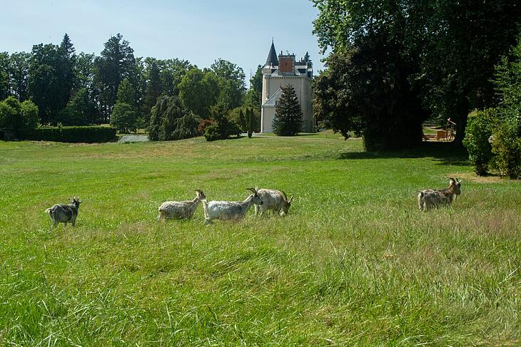 panorama d'un camping haut de gamme dans la creuse