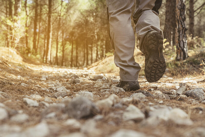 [Translate to Allemand:] 