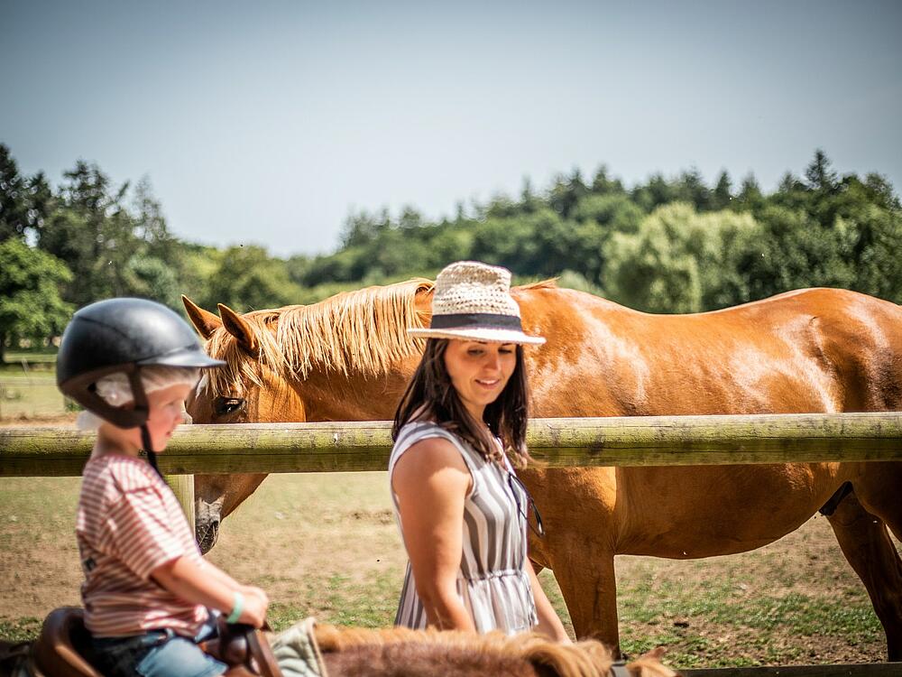 Campingplatz Castel Camping Les Ormes, Domaine & Resort DOL DE BRETAGNE Bretagne 18