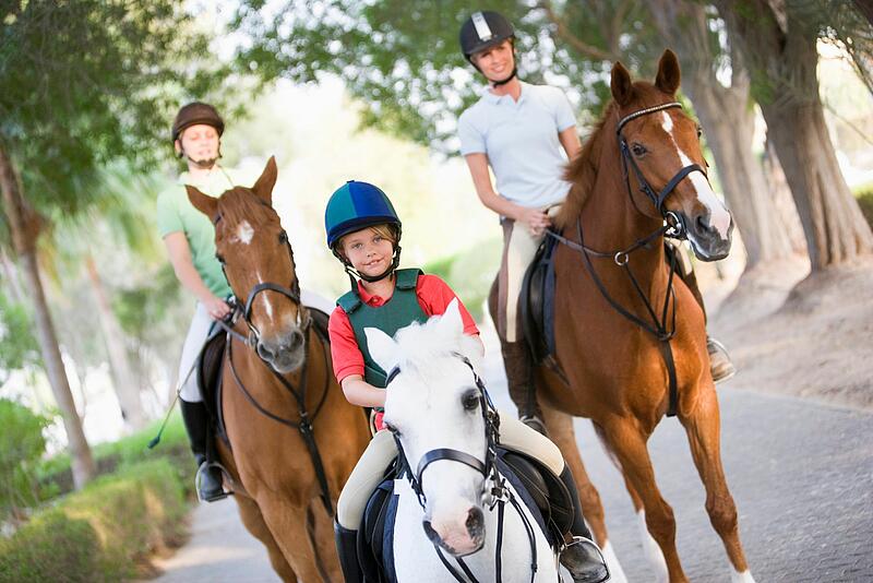 [Translate to Allemand:] 