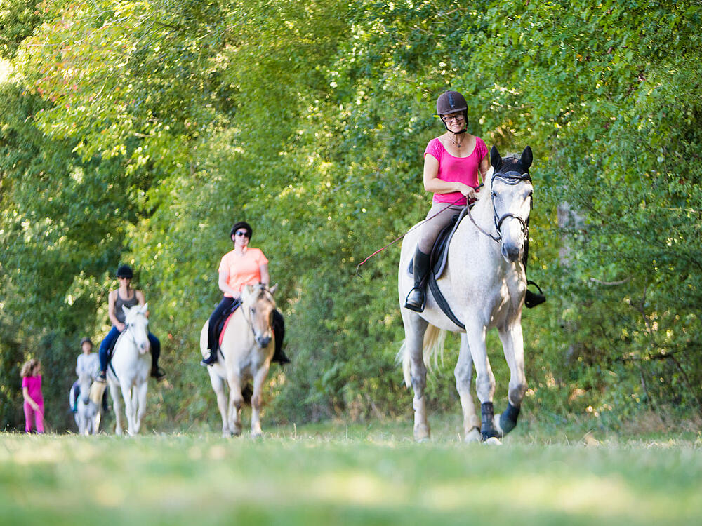 Campingplatz Castel Camping La Garangeoire Saint Julien des Landes Pays de la Loire 15