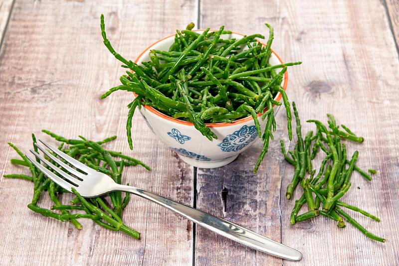 [Translate to Allemand:] 