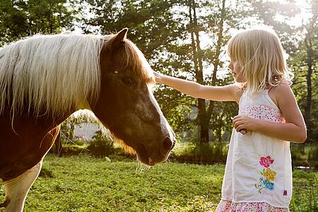 [Translate to Allemand:] 